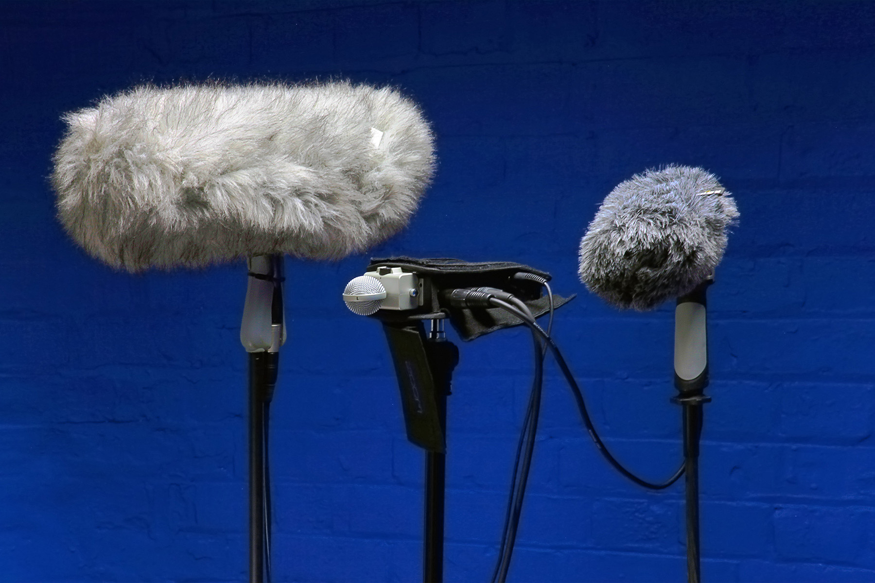 3 Microphones and Recorder